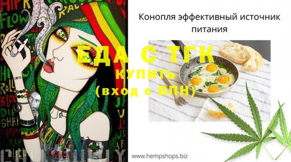СК Мегион