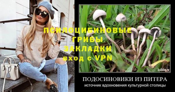 СК Мегион