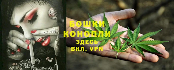 дмт Медвежьегорск
