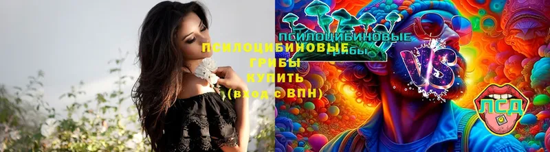 гидра сайт  Жуковка  Псилоцибиновые грибы MAGIC MUSHROOMS 